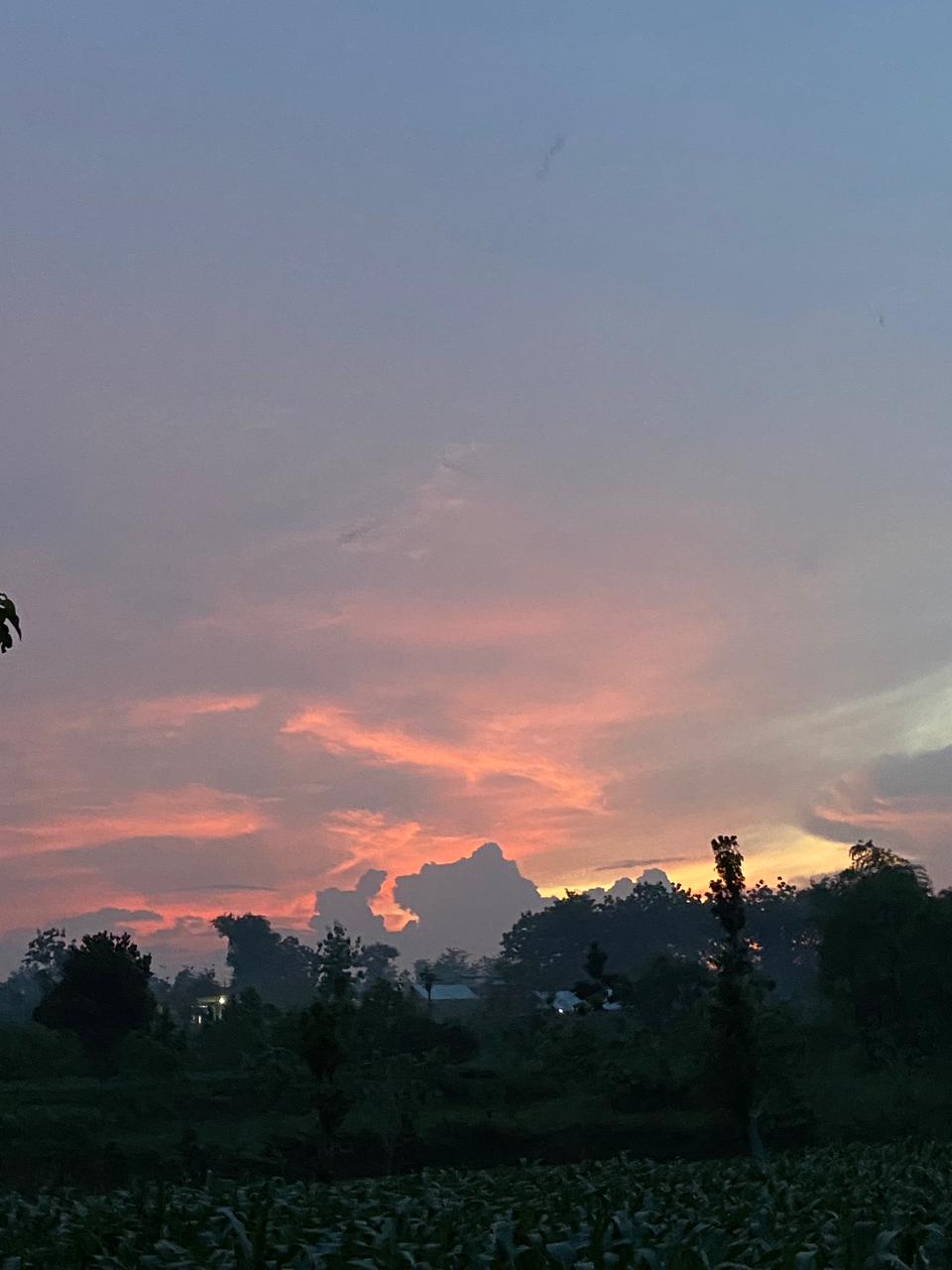 Halaman Waktu Sore Hari